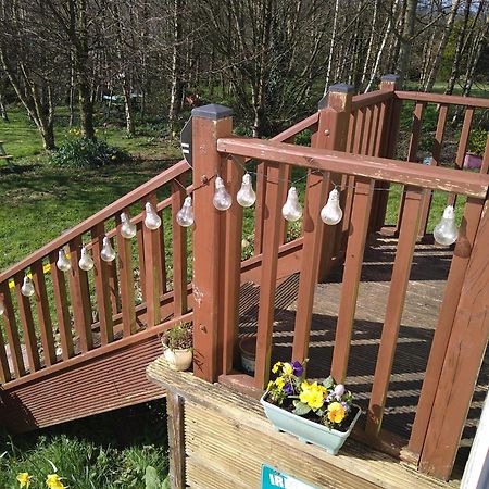 Hills View Accommadation Borrisoleigh Eksteriør bilde